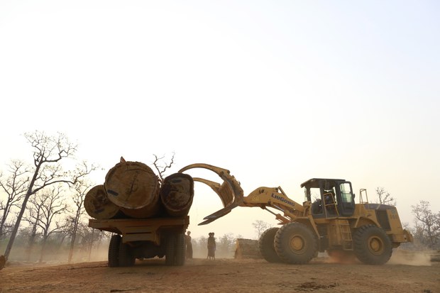 ပိတ်ဆို့မှုတွေကြားက ပြည်ပကို ထွက်နေတဲ့ မြန်မာ့သစ်များ