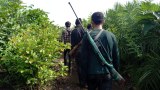 တော်လှန်ရေးအဖွဲ့တွေကို လက်နက်ကူညီဖို့ နိုင်ငံတကာကို NUG တောင်းဆို