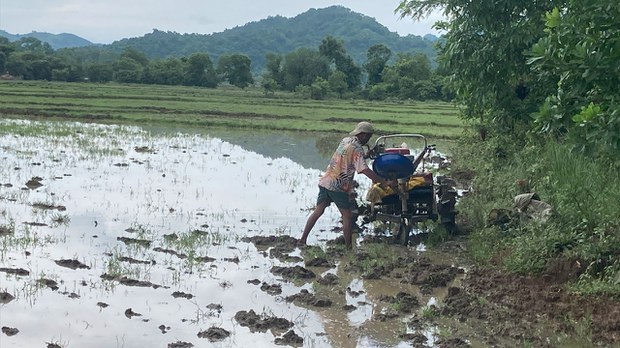 တိုက်ပွဲတွေကြောင့် ရခိုင်က တောင်သူတွေ မိုးစပါး မစိုက်ပျိုးနိုင် တိုက်ပွဲတွေကြောင့် ရခိုင်က တောင်သူတွေ မိုးစပါး မစိုက်ပျိုးနိုင်