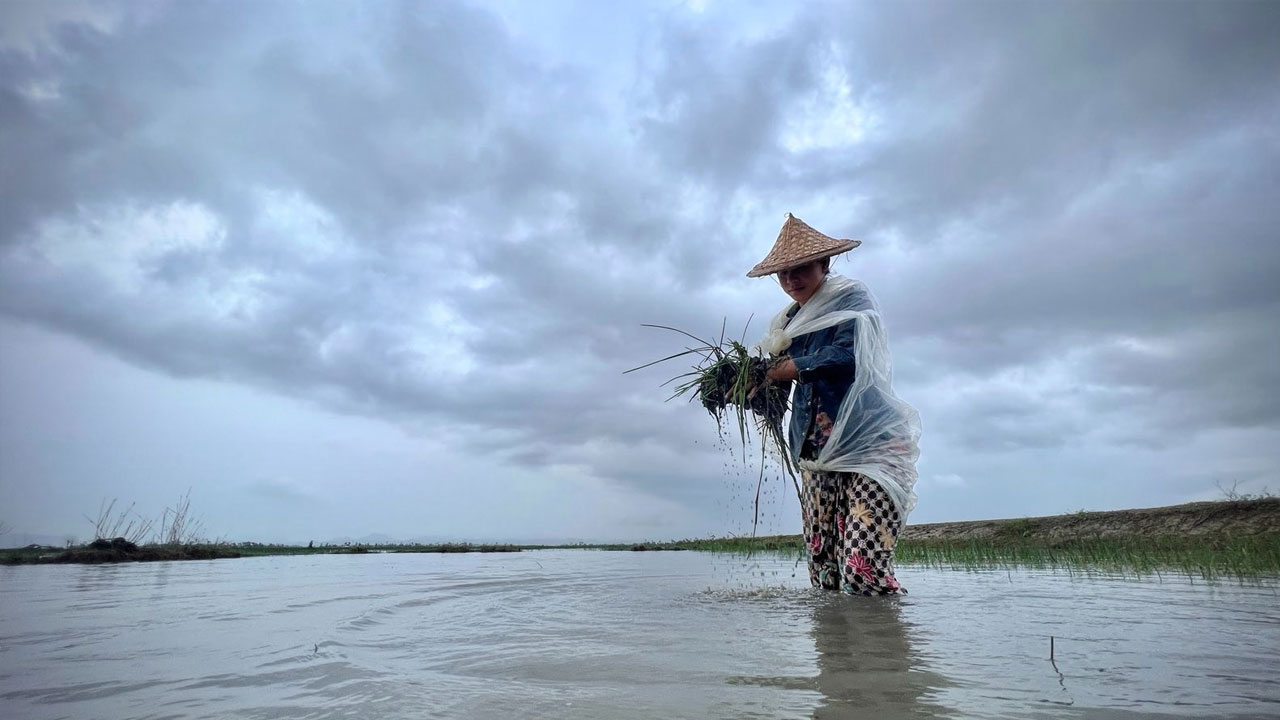 rakhine-farmer-2 ရခိုင်ပြည်နယ် ရသေ့တောင်မြို့နယ်မှ ကောက်စိုက်သမတစ်ဦးအား ၂၀၂၃ ခုနှစ် ဇွန်လ ၂၂ ရက်နေ့ တွေ့ရစဉ်။ (Photo: RFA)