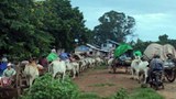 အာဏာသိမ်းပြီးနောက် စစ်ဘေးဒုက္ခသည် တစ်သန်းကျော်တိုးလာ