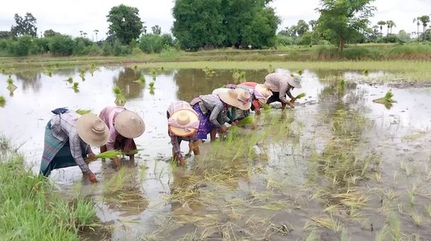 ချေးငွေတွေ ပြန်ဆပ်ဖို့ စစ်ကောင်စီ ဖိအားပေးတောင်းနေ