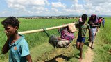 ရိုဟင်ဂျာတွေ လူမျိုးတုံးသတ်ဖြတ်ခံရမှု ငါးနှစ်ပြည့်