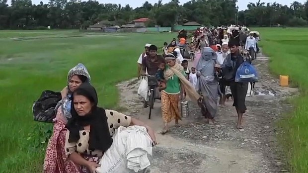 မောင်တောမှာ ရိုဟင်ဂျာ ရာနဲ့ချီ ဝမ်းပျက်ဝမ်းလျှောဖြစ်ပြီး သေဆုံးမှုရှိနေ မောင်တောမှာ ရိုဟင်ဂျာ ရာနဲ့ချီ ဝမ်းပျက်ဝမ်းလျှောဖြစ်ပြီး သေဆုံးမှုရှိနေ