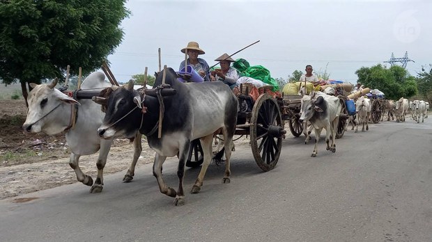 ကျွန်းလှမြို့နယ် ရွာသုံးရွာက နေအိမ်တွေ မီးရှို့ဖျက်ဆီးခံရ ကျွန်းလှမြို့နယ် ရွာသုံးရွာက နေအိမ်တွေ မီးရှို့ဖျက်ဆီးခံရ
