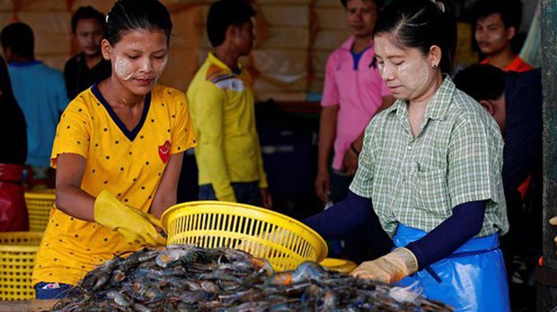 ထိုင်းမှာ MOU သက်တမ်းကုန်သူတွေကို ခြောက်လ သက်တမ်းတိုးပေးမည် ထိုင်းမှာ MOU သက်တမ်းကုန်သူတွေကို ခြောက်လ သက်တမ်းတိုးပေးမည်