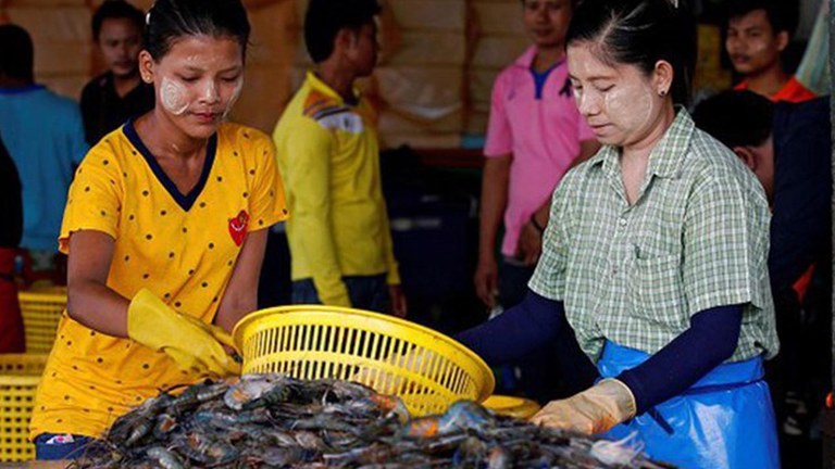 ထိုင်းနိုင်ငံက ရေထွက်ပစ္စည်းလက်ကားဒိုင်တစ်ခုတွင် အလုပ်လုပ်နေကြသော မြန်မာရွှေ့ပြောင်းအလုပ်သမားများကို ၂ဝ၁၈ ခုနှစ်က တွေ့ရစဉ်။ (Photo: AFP)