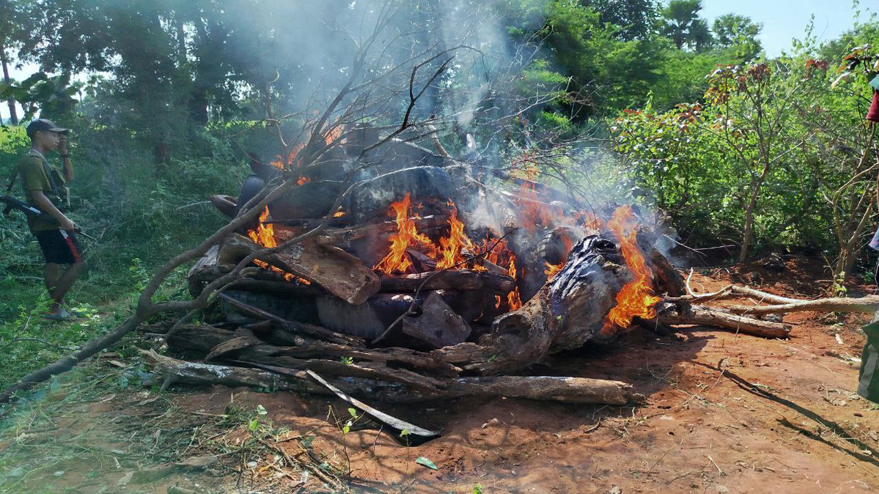 စစ်ကောင်စီ၏ လေကြောင်းတိုက်ခိုက်မှုကြောင့် သေဆုံးခဲ့သည့် မကွေးတိုင်း၊ ချောက်မြို့နယ်အခြေစိုက် အာဠာဝက မြို့ပြပြောက်ကျားတပ်ဖွဲ့တပ်ဖွဲ့ဝင်သုံးဦး၏ ရုပ်အလောင်းများအား ၂၀၂၄ ခုနှစ် အောက်တိုဘာလ ၂၉ ရက်နေ့က မီးသင်္ဂြိုလ်နေစဉ်။ (ဓာတ်ပုံ - အာဠာဝက မြို့ပြပြောက်ကျားတပ်ဖွဲ့)