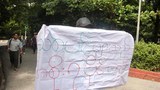 trees-fell-protest-622.jpg