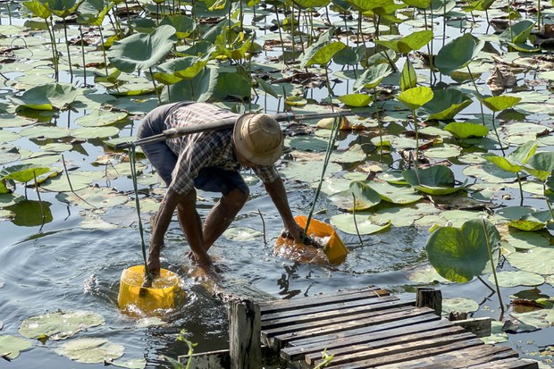 ခေတ်အဆက်ဆက် သောက်သုံးရေ အဆင်မပြေသေးတဲ့ ဒလ