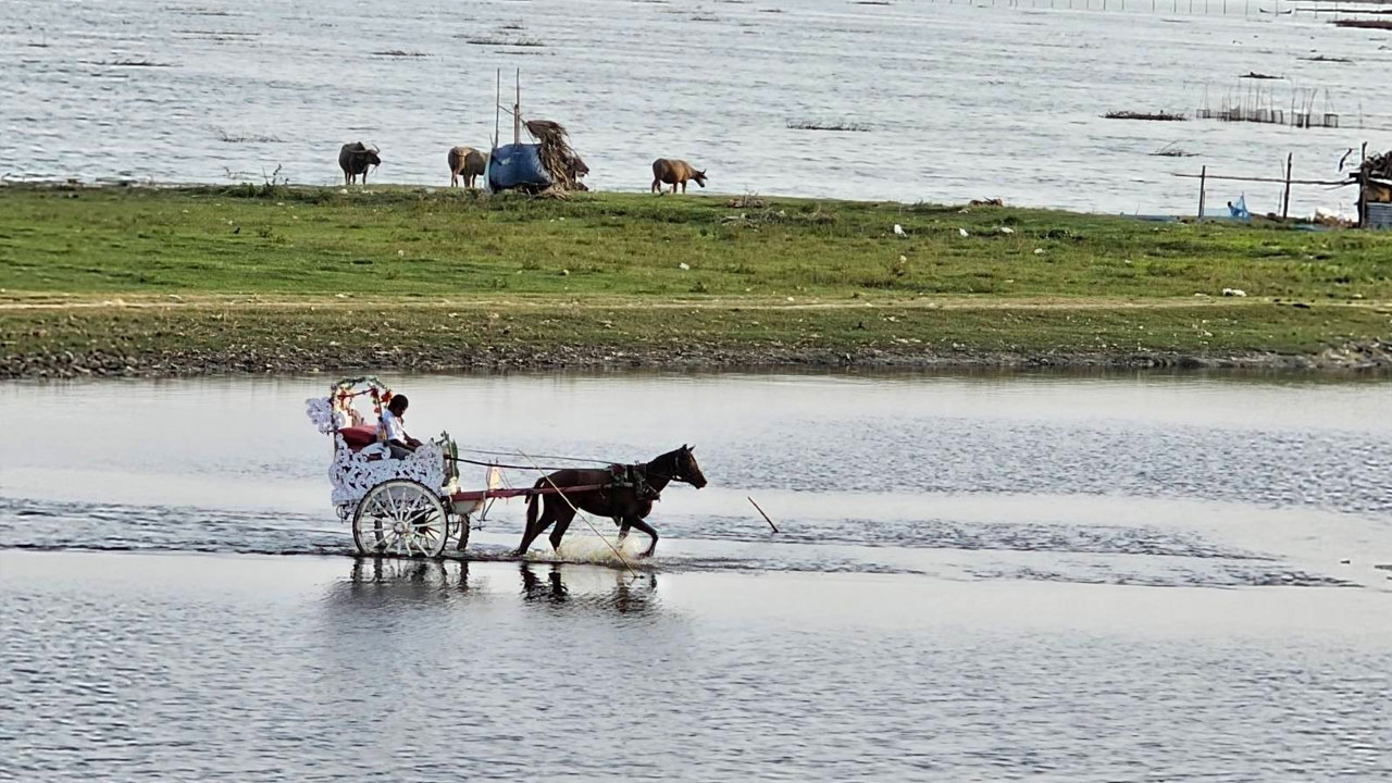 မန္တလေးမြို့၊ အမရပူရမြို့နယ်၊ တောင်သမန်အင်းတွင် အလှဆင်ထားသည့် မြန်မာ့ရိုးရာမြင်းလှည်းတစ်စီးကို ၂၀၂၃ ခုနှစ်၊ ဇွန်လ ၁၇ ရက်နေ့က တွေ့ရစဉ်။ (Photo: RFA)