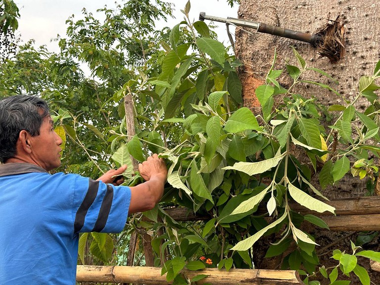 မပေါက်ကွဲသေးသည့် လက်နက်ကြီးကျည်ကို ကြည့်ရှုနေသည့် နမ္မတူမြို့ခိုဖိတ်ရွာခံတစ်ဦးကို ၂၀၂၄ ခုနှစ် မတ်လ ၂၇ ရက်နေ့က တွေ့ရစဉ်။ (Photo: RFA)