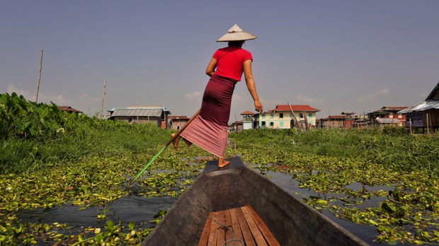 အင်းလေး ရေပေါ်စိုက်ခင်းတွေကြားက မိခင်ကို လုပ်ကျွေးနေတဲ့ "ဖယောင်း"