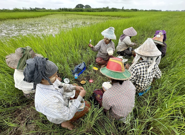 လယ်ယာလုပ်ငန်းလုပ်တဲ့ ရန်ကုန်တိုင်း ဒလမြို့နယ်က လယ်သမားတွေ ထမင်းစားနားနေတာကို ၂၀၂၃ ခုနှစ် ဩဂုတ်လက တွေ့ရစဉ်။ (Photo : RFA)