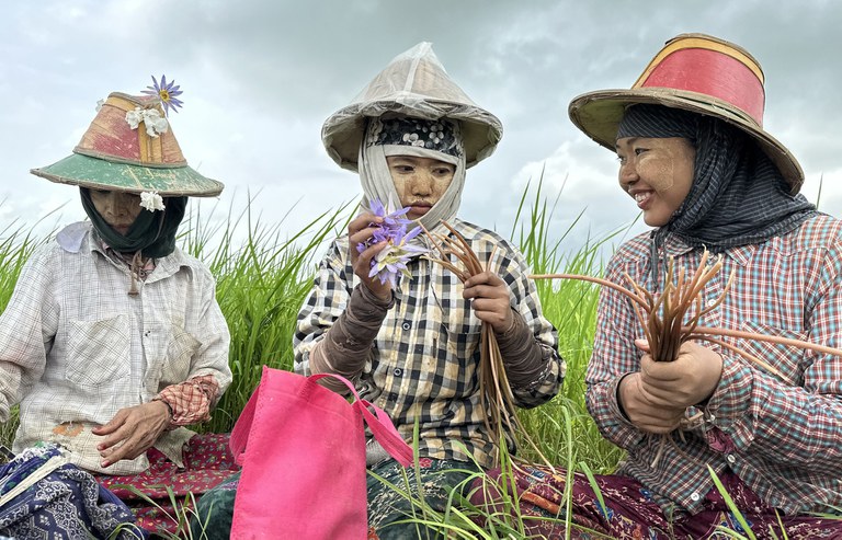 ရန်ကုန်တိုင်း ဒလမြို့နယ်က လယ်သမားတွေ အနားယူနေတာကို ၂၀၂၃ ခုနှစ် ဩဂုတ်လက တွေ့ရစဉ်။ (Photo : RFA)