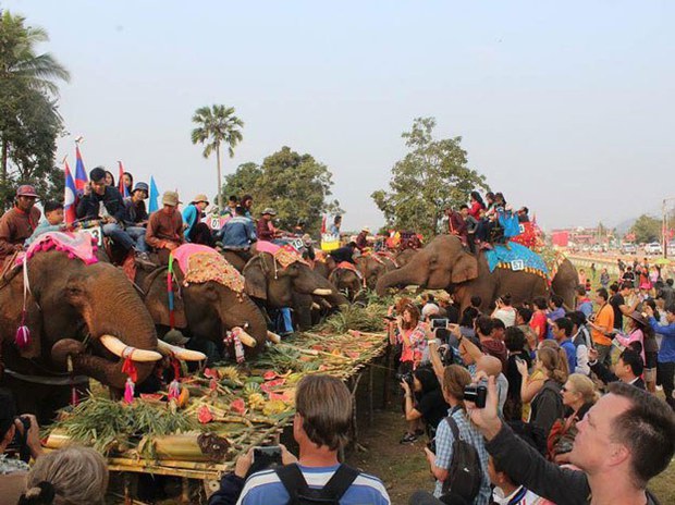 ໄຊຍະບູຣີ ຕຣຽມຈັດງານບຸນຊ້າງ ປີທ່ອງທ່ຽວ ກະຕຸ້ນເສຖກິຈ ລາວ