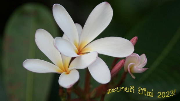 ພອນປີໃໝ່ ສາກົລ 2023 ໂດຍທີມງານ ວິທຍຸ ເອເຊັຽ ເສຣີ