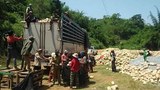 F-Workers