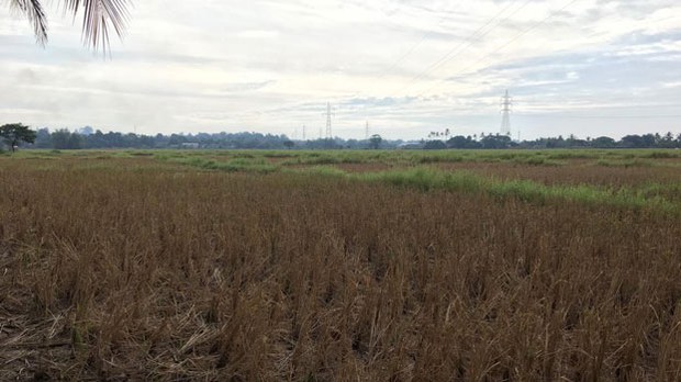 F-expressway-01