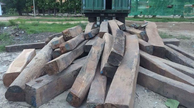 F-LOGS