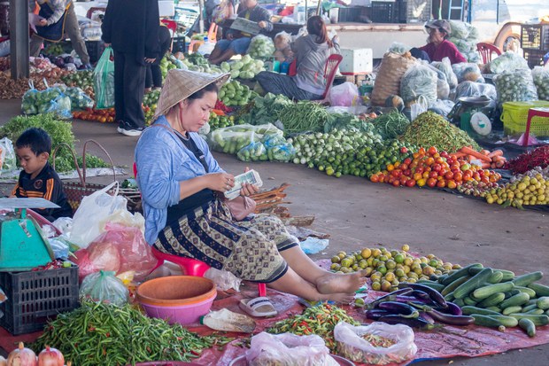 ລາວສົ່ງອອກສິນຄ້າກະເສດ ທີ່ສ່ວນຫຼາຍເປັນຂອງນັກລົງທຶນຈີນ ສູງເຖິງ 1.4 ຕື້ໂລດ້າຣ໌ ລາວສົ່ງອອກສິນຄ້າກະເສດ ທີ່ສ່ວນຫຼາຍເປັນຂອງນັກລົງທຶນຈີນ ສູງເຖິງ 1.4 ຕື້ໂລດ້າຣ໌