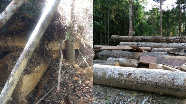 f-logs f-logs