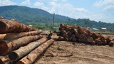 F-ATTAPEU-LOGS