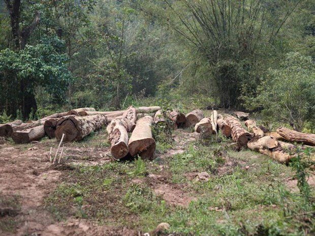 f-logs f-logs