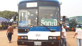 F-bus