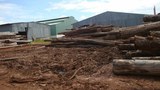 f-logs