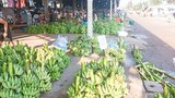ຈີນເປັນຕະຫຼາດຫຼັກ ທີ່ແຂວງໄຊຍະບູລີ ສົ່ງອອກ ສິນຄ້າກະສິກຳ