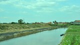 F-Thatluang-marsh