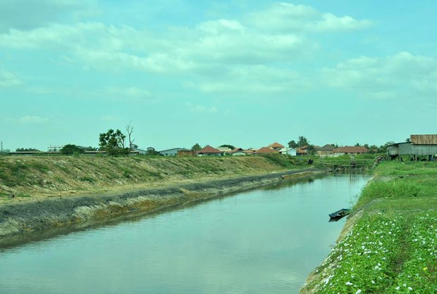 F-Thatluang-marsh