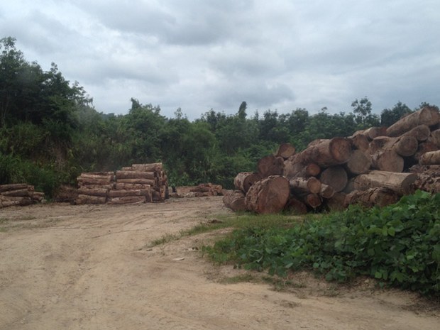 F-logging