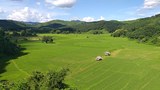 F-land-farm
