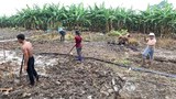 ນາຍທຶຶນຈີນ, ຣັຖບານລາວໄດ້ກຳໄລ ຈາກສວນກ້ວຍ