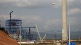 f-lignite