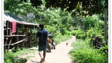 F-don-sahong