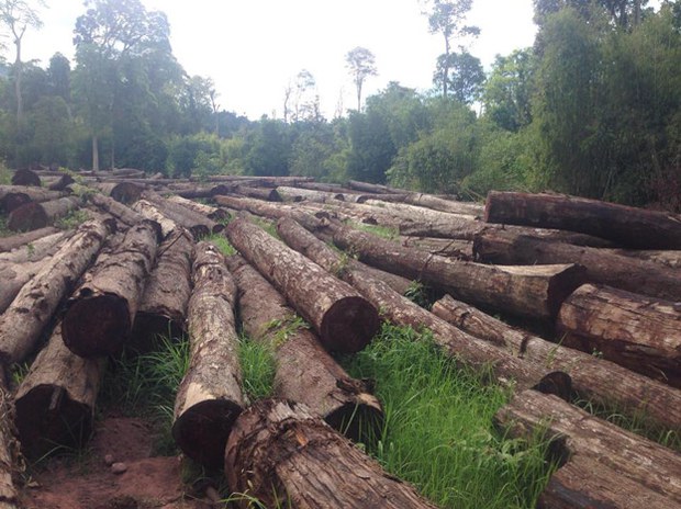 F-logs