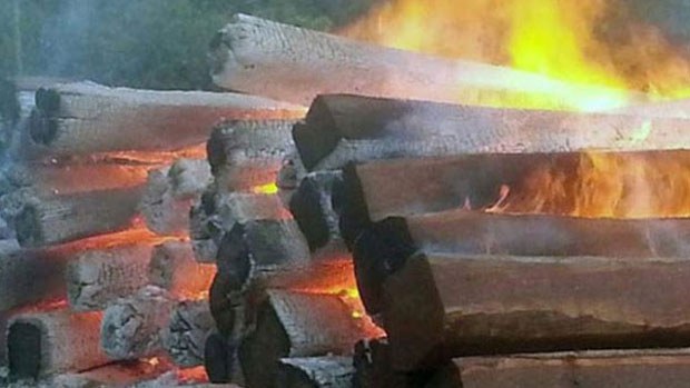 f-wood-fire f-wood-fire