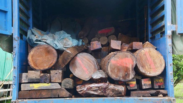 f-logs-lt f-logs-lt