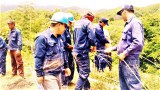 ພະນັກງານ ຣັຖວິສາຫະກິຈໄຟຟ້າ ຖືກໄລ່ອອກ 5 ຄົນ