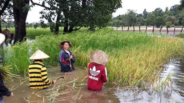 F-Flood-seponh F-Flood-seponh