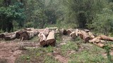F-Logs