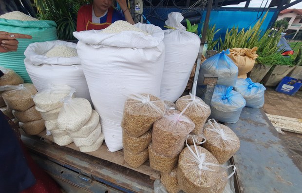 ຜູ້ປະກອບການລ້ຽງໝູ ໄດ້ຮັບຜົລກະທົບໜັກ ຍ້ອນຕົ້ນທຶນສູງ