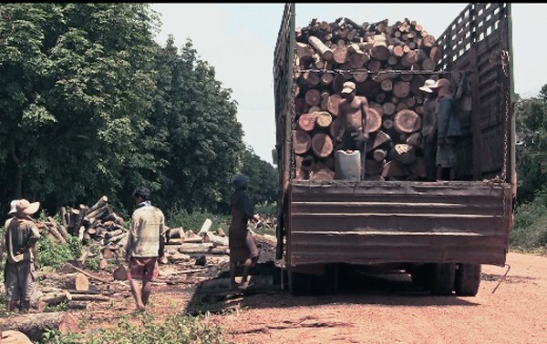 F-logs F-logs