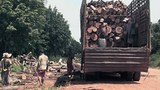 F-logs