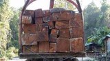 F-logs