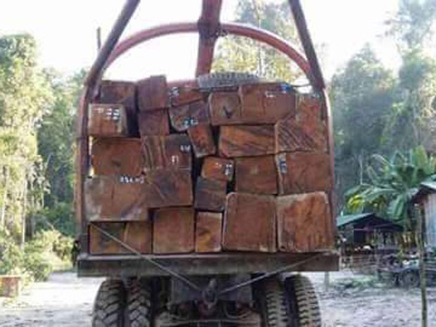 F-logs