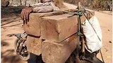 F-logs